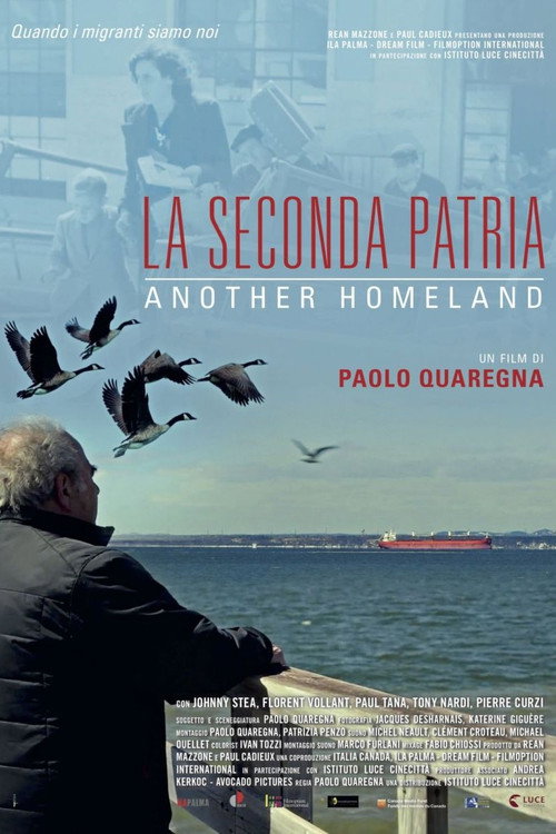 Movie poster for La seconda patria - Another Homeland (2019)