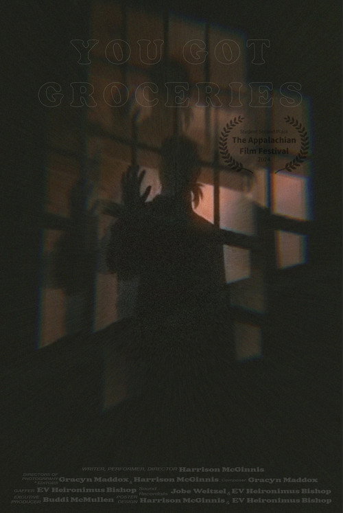 Movie poster for You Got Groceries (2024)