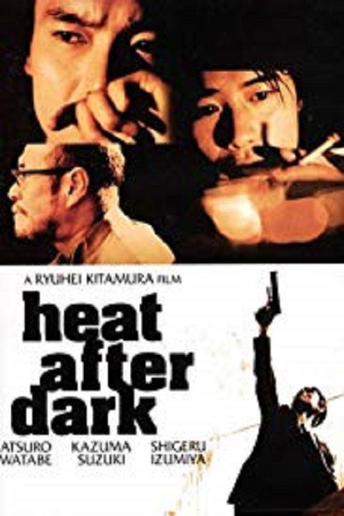 Movie poster for Heat After Dark (1996)