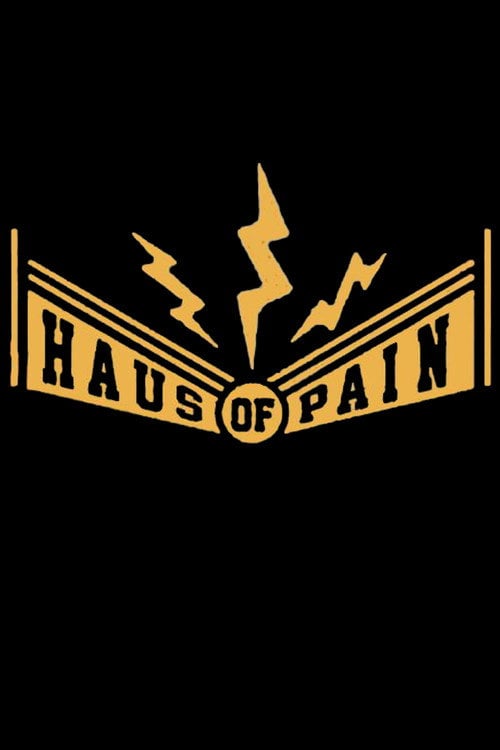 Movie poster for Haus of Pain (2017)
