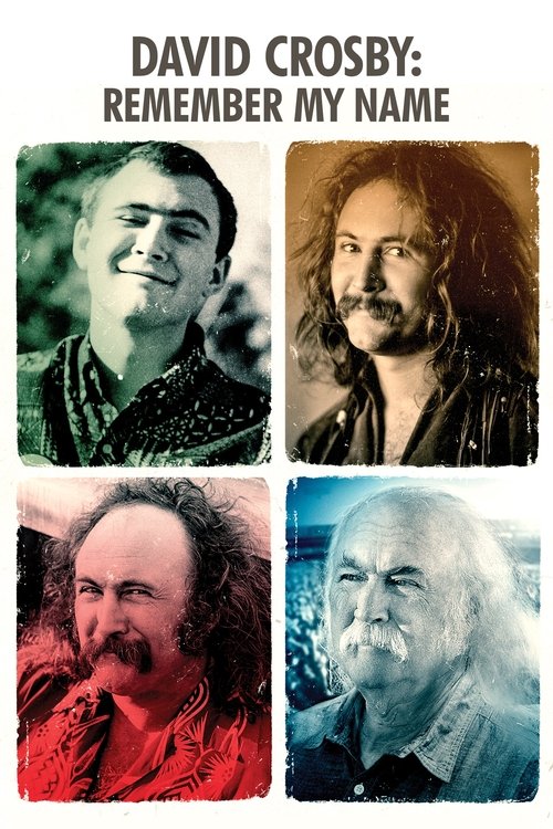 Movie poster for David Crosby: Remember My Name (2019)