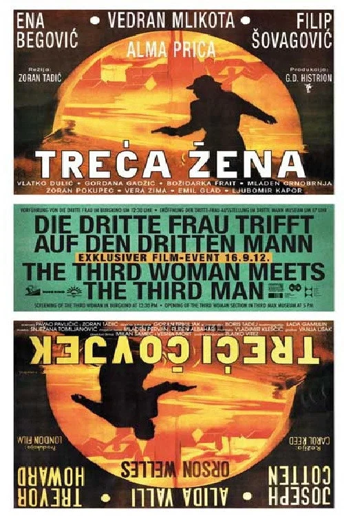 Movie poster for The Third Woman (1997)