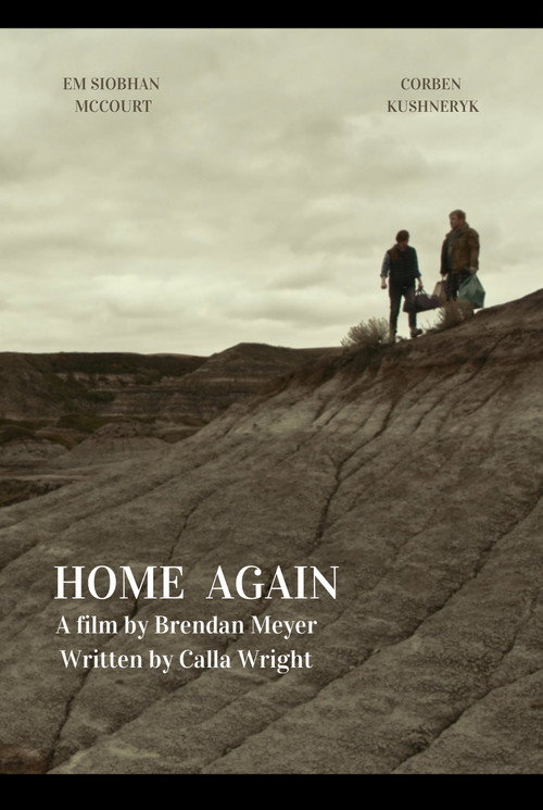 Movie poster for Home Again (2021)