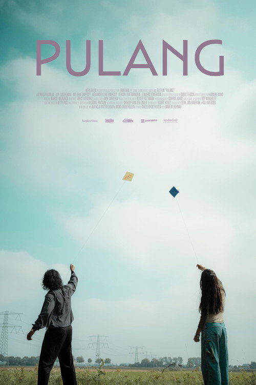 Movie poster for Pulang (2024)