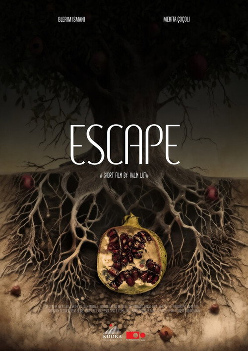 Movie poster for Escape (2024)