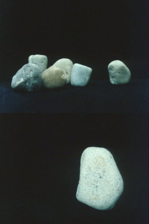 Movie poster for Rocks (1985)