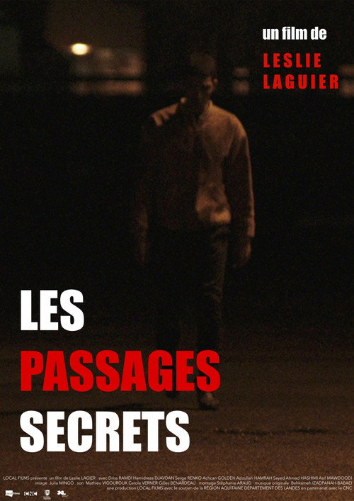Movie poster for Les passages secrets (2015)