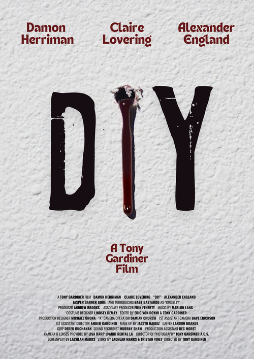 Movie poster for DIY (2025)
