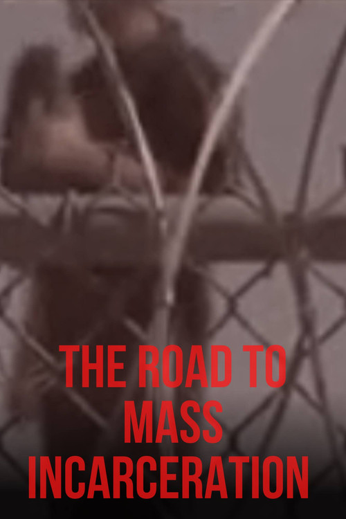 Movie poster for The Road to Mass Incarceration (2018)