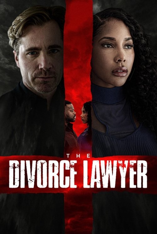 Movie poster for The Divorce Lawyer (2025)