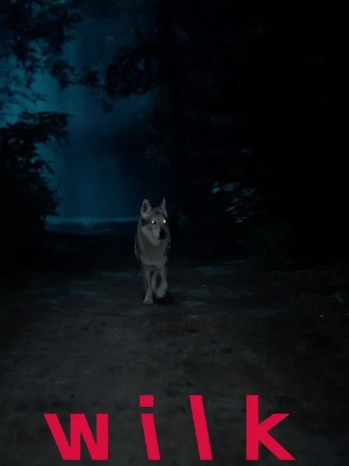 Series poster for Wolf (2021)