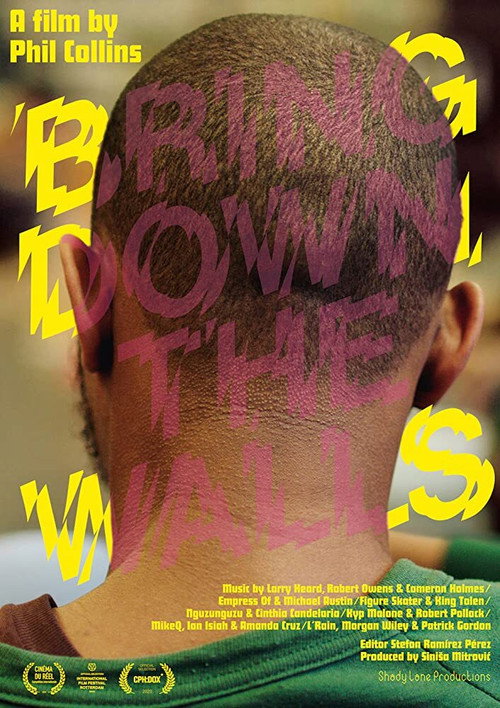 Movie poster for Bring Down The Walls (2020)