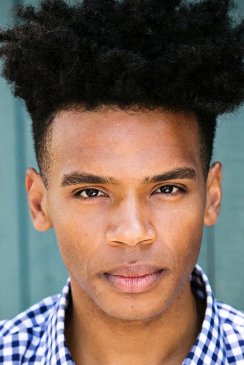 Photo of Armand Fields, Acting