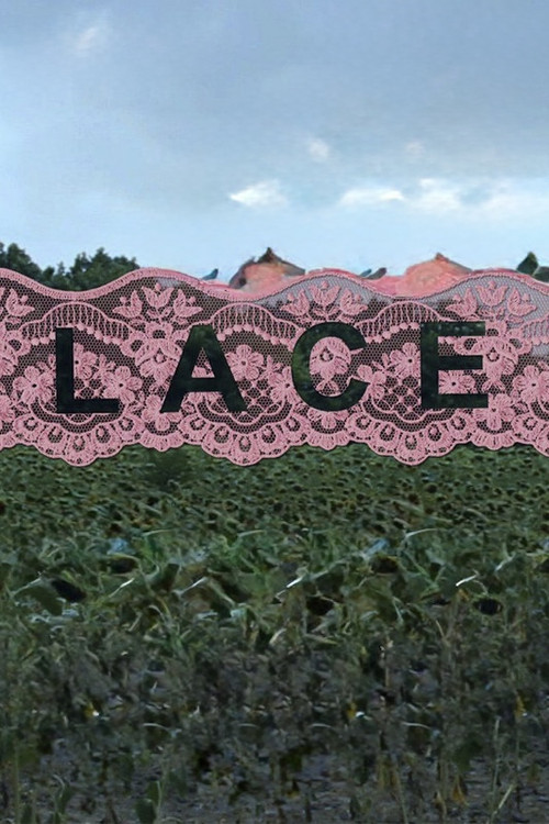 Movie poster for Lace (2017)