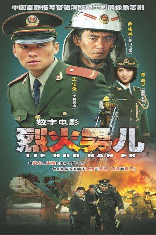 Movie poster for Fire Boy: Hero in Training (2008)