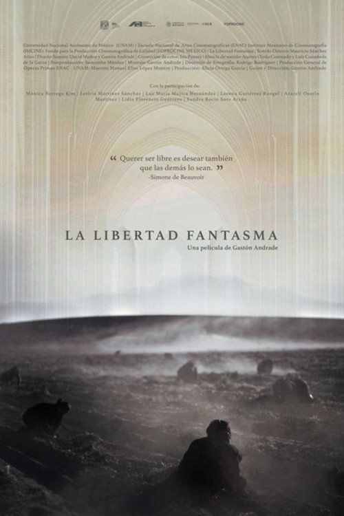 Movie poster for The Phantom Liberty (2022)