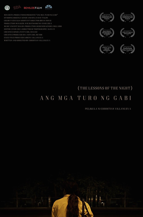 Movie poster for The Lessons of the Night (2018)