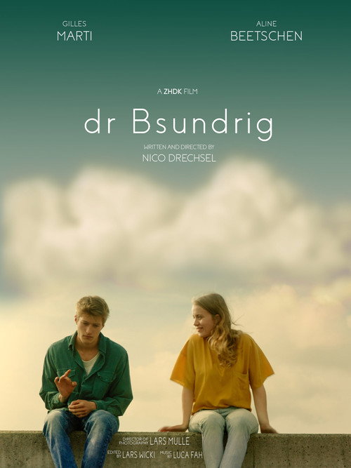 Movie poster for dr Bsundrig