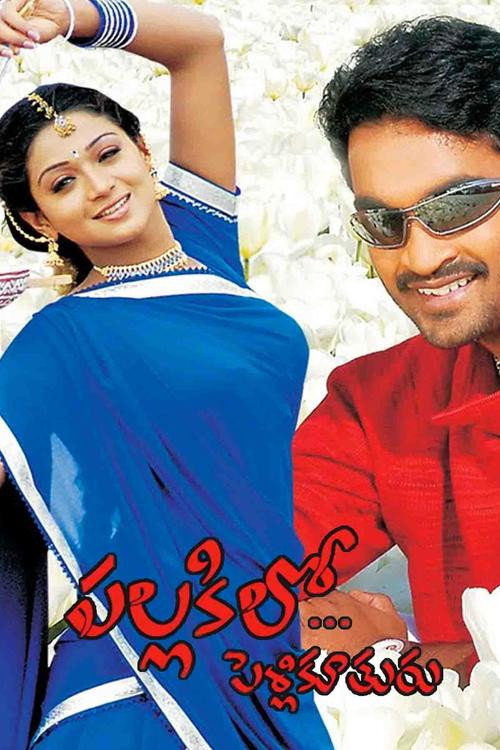 Movie poster for Pallakilo Pellikuthuru (2004)