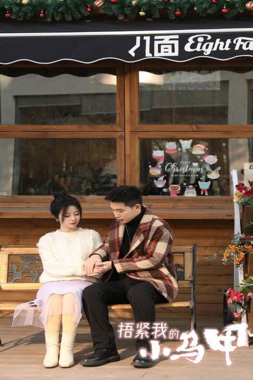 捂紧我的小马甲 poster