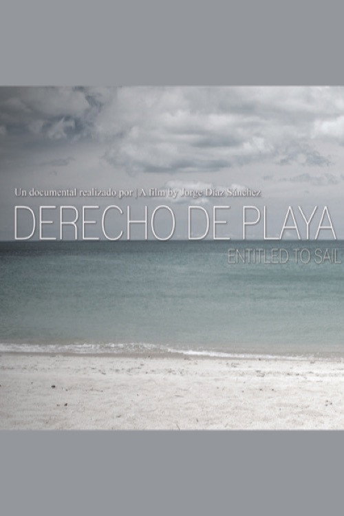 Movie poster for Derecho de playa (2016)
