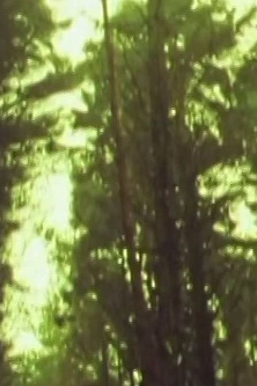 Movie poster for Orchard (2004)