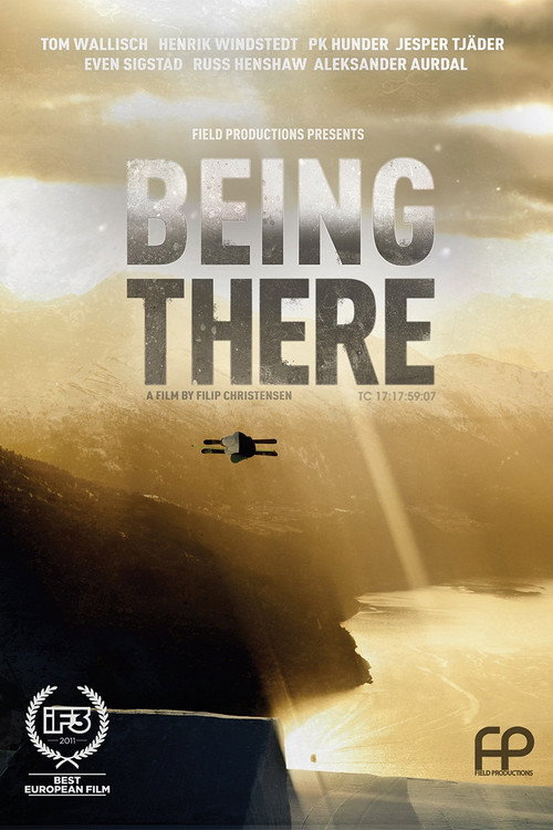 Movie poster for Being There (2011)