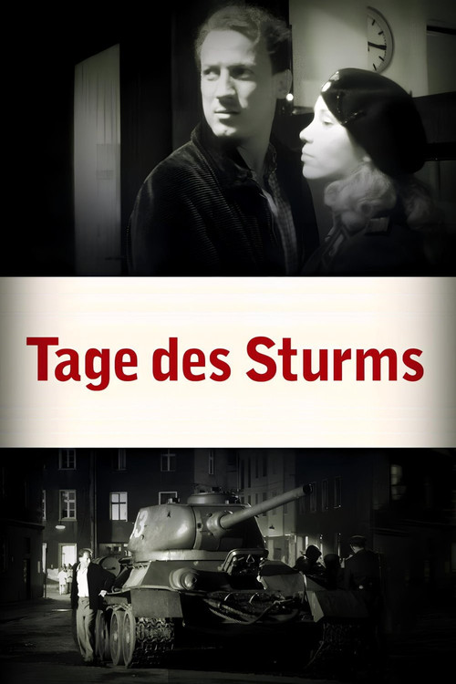 Movie poster for Tage des Sturms (2003)