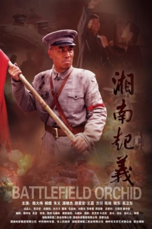 Movie poster for Battlefield Orchid (2012)