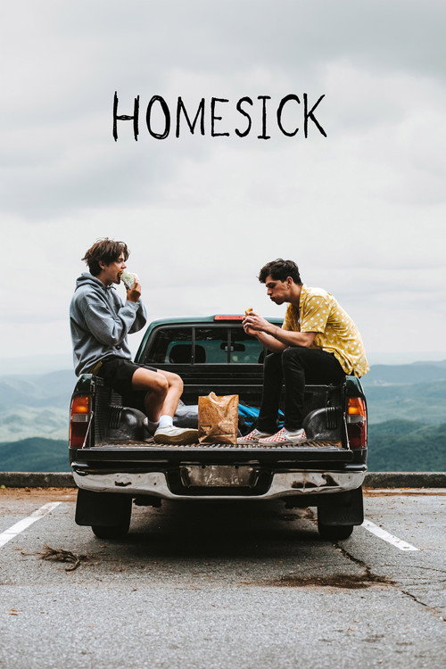 Movie poster for Homesick (2023)
