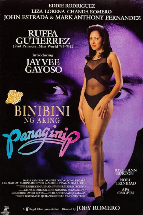 Movie poster for Binibini Ng Aking Panaginip (1994)