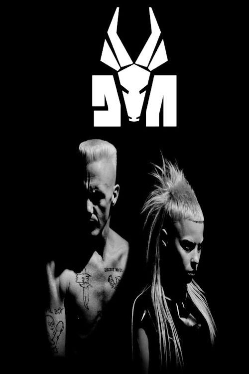 Movie poster for Die Antwoord at Lollapalooza 2016 (2016)