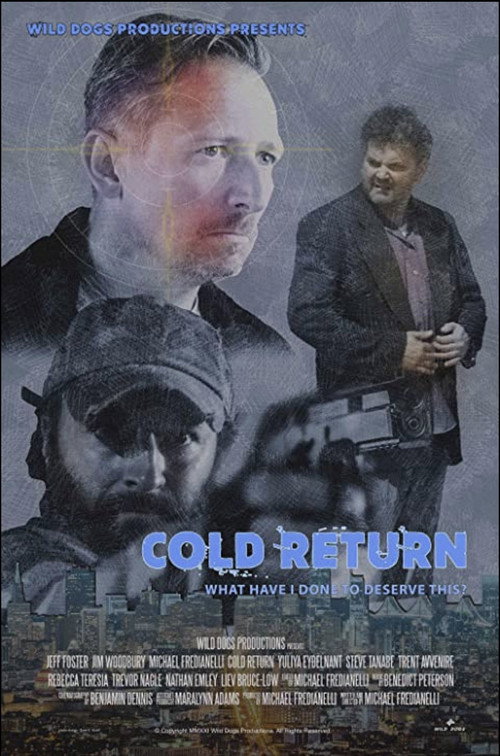 Movie poster for Cold Return (2021)