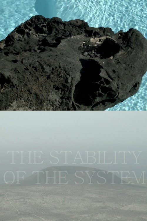Movie poster for THE STABILITY OF THE SYSTEM (2016)