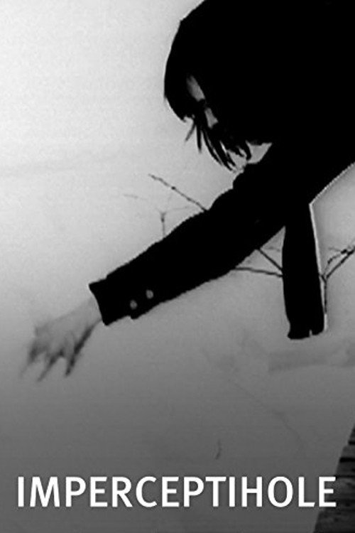 Movie poster for Imperceptihole (2011)