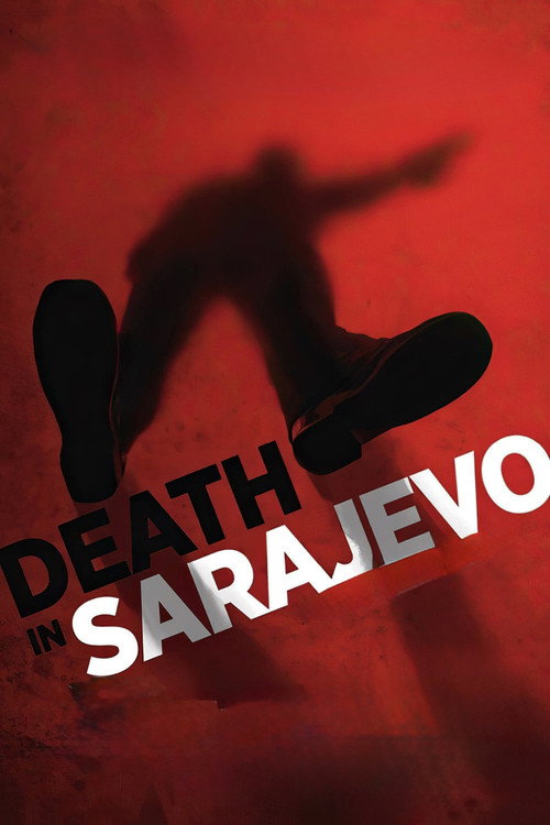 Movie poster for Death in Sarajevo (2016)
