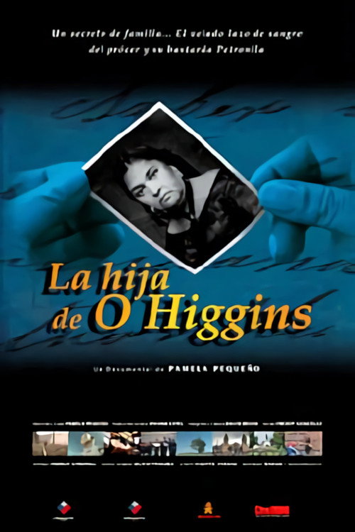 Movie poster for La hija de O'higgins (2001)