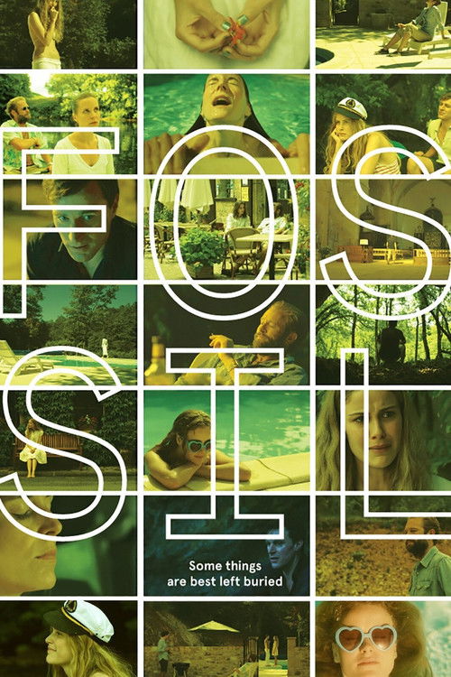 Movie poster for Fossil (2014)