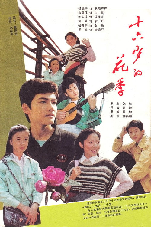 十六岁的花季 poster