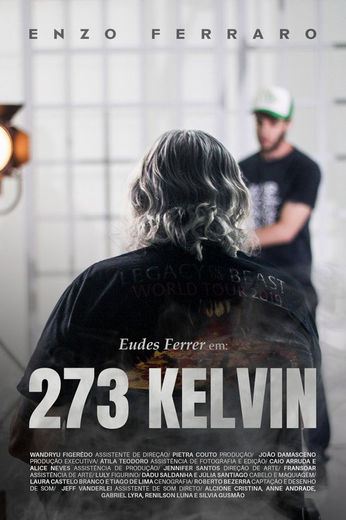 Movie poster for 273 KELVIN