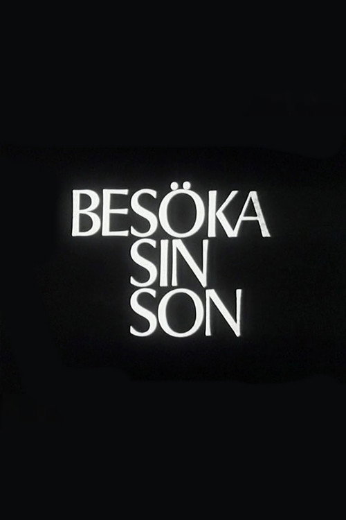 Movie poster for Visiting One's Son (1967)