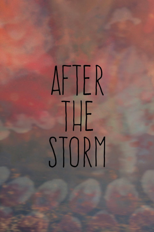Movie poster for After the Storm (2017)