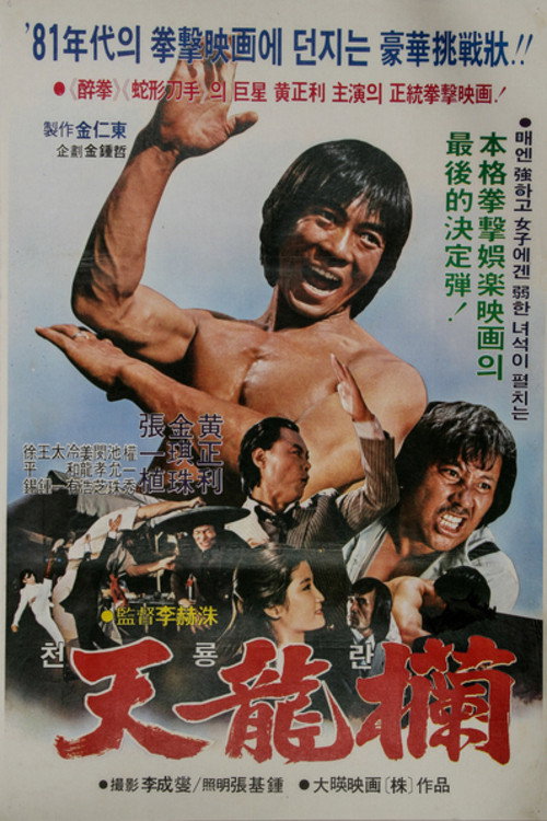 Movie poster for Hands of Lightning (1982)