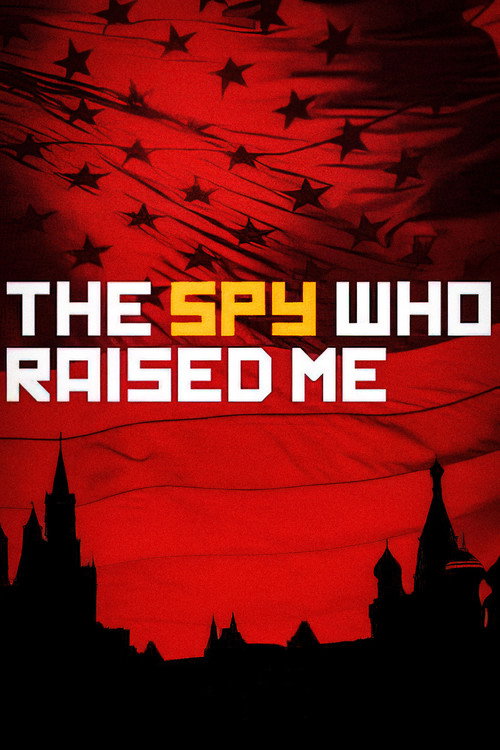 Movie poster for The Spy Who Raised Me (2018)