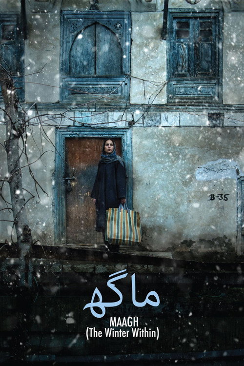 Movie poster for The Winter Within (2022)