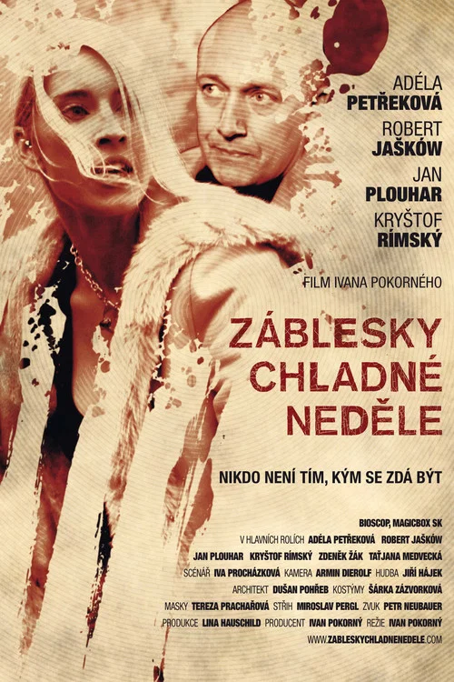 Movie poster for Cold Sunday (2012)