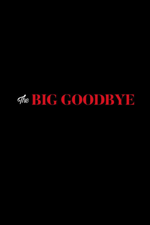 Movie poster for The Big Goodbye