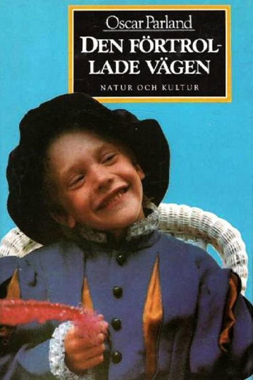 Movie poster for The Enchanted Road (1986)