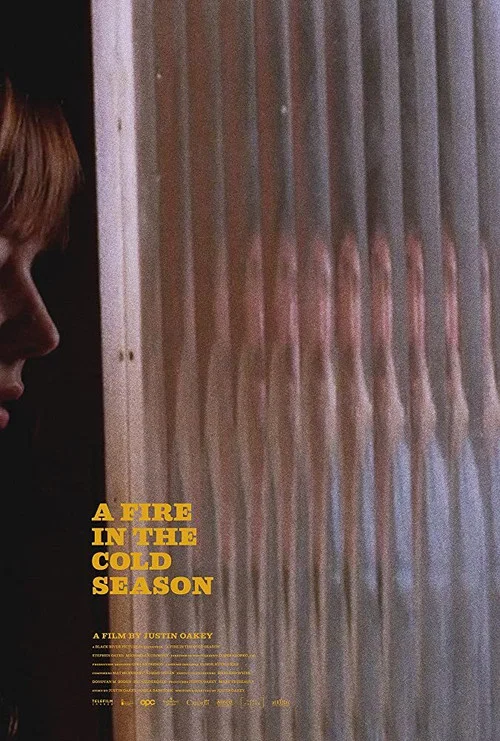 Movie poster for A Fire in the Cold Season (2019)