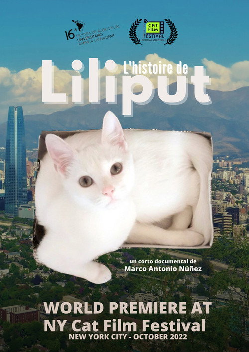 Movie poster for Liliput's Story (2017)
